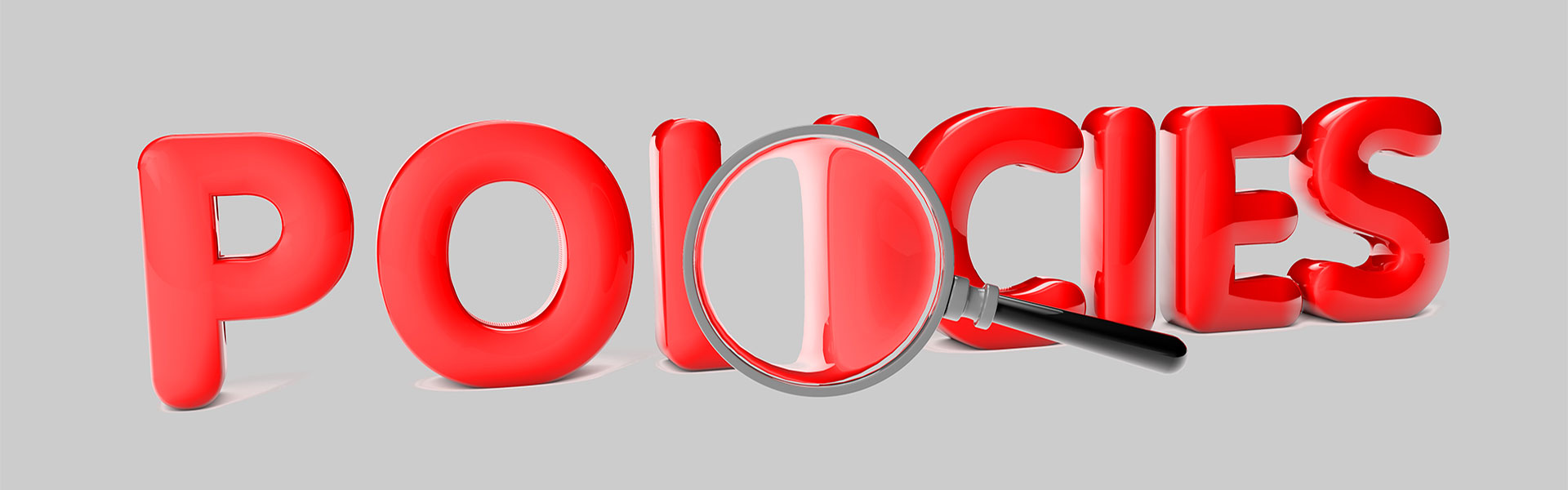 View our Policies -  Affordable Web Design Ltd and all affiliated team members.