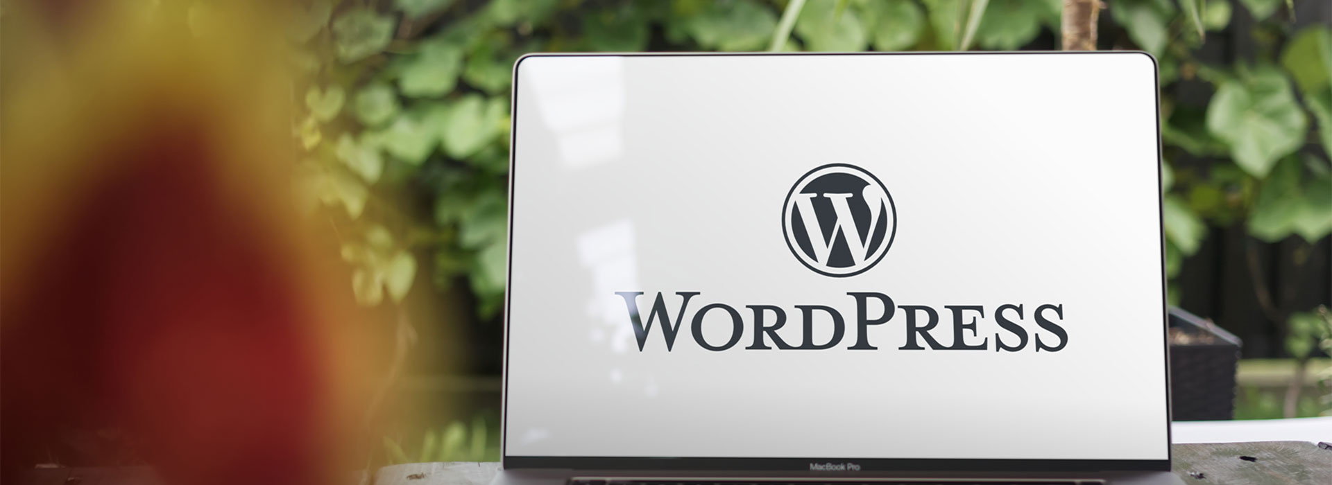 Affordable Web Network -  offering Wordpress themes when needed. 